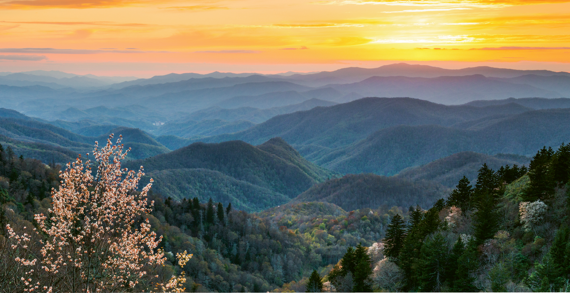 western nc horizon