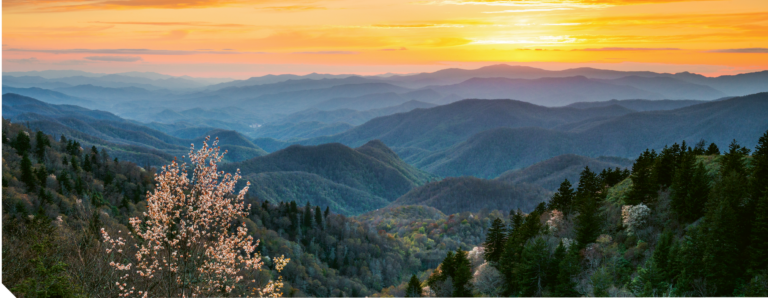 western nc horizon