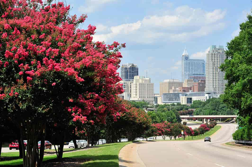 raleigh skyline